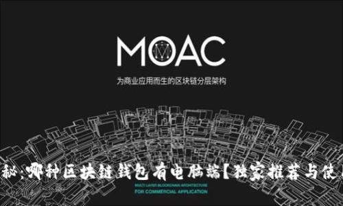 专家揭秘：哪种区块链钱包有电脑端？独家推荐与使用秘诀！
