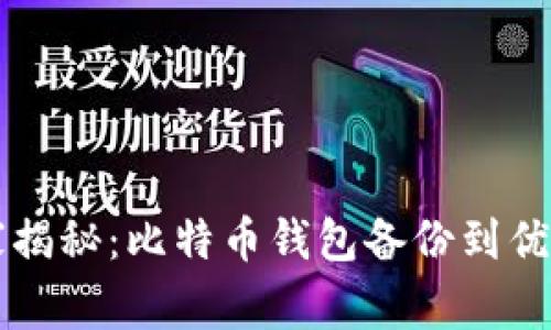 专家独家揭秘：比特币钱包备份到优盘的秘诀