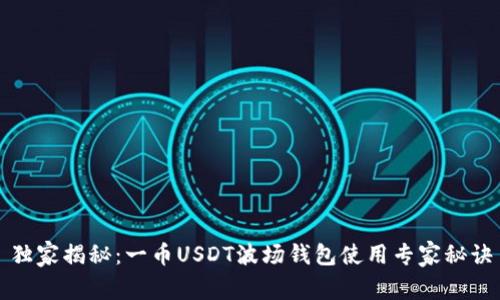 独家揭秘：一币USDT波场钱包使用专家秘诀