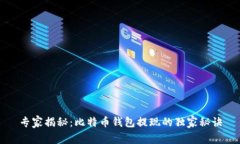 专家揭秘：比特币钱包提