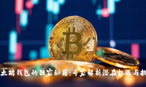 以太坊钱包的独家秘籍：专家解析潜在机遇与挑战