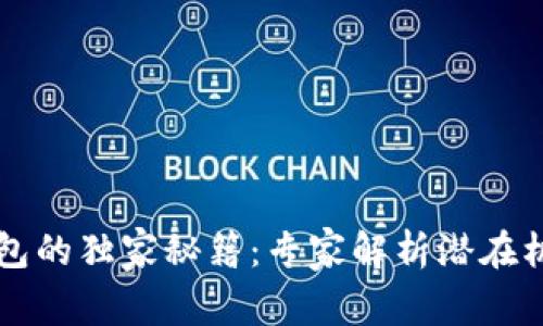 以太坊钱包的独家秘籍：专家解析潜在机遇与挑战