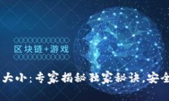 USDT钱包的大小：专家揭秘