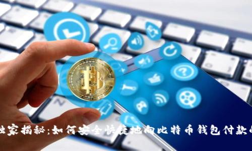 专家独家揭秘：如何安全快捷地向比特币钱包付款的秘诀