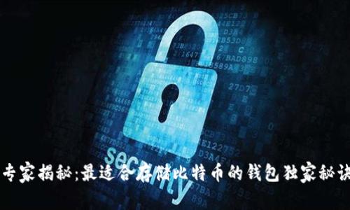 专家揭秘：最适合存储比特币的钱包独家秘诀