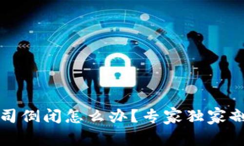 比特币钱包公司倒闭怎么办？专家独家剖析和应对秘诀