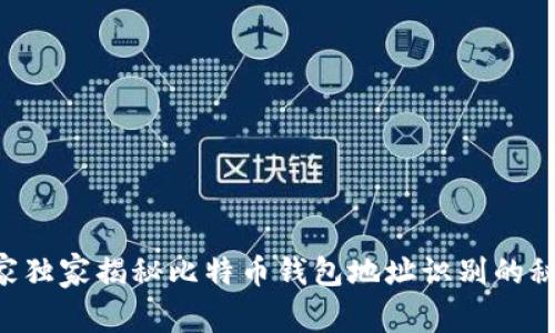 专家独家揭秘比特币钱包地址识别的秘诀！