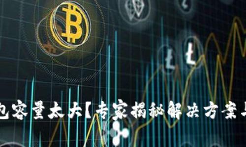 比特币钱包容量太大？专家揭秘解决方案与独家秘诀
