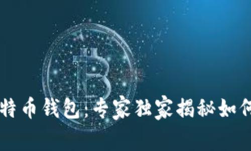 新加坡元比特币钱包：专家独家揭秘如何选择和使用