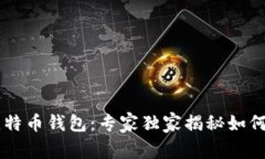 新加坡元比特币钱包：专