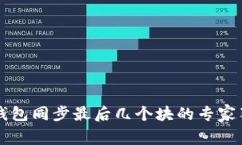 以太坊钱包同步最后几个块的专家独家秘诀