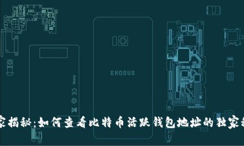 专家揭秘：如何查看比特币活跃钱包地址的独家秘诀