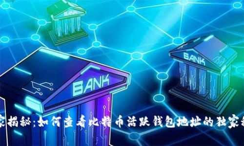专家揭秘：如何查看比特币活跃钱包地址的独家秘诀