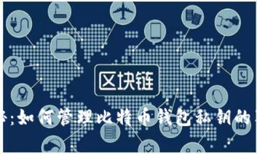 专家揭秘：如何管理比特币钱包私钥的独家秘诀
