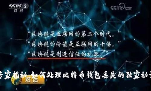 专家揭秘：如何处理比特币钱包丢失的独家秘诀