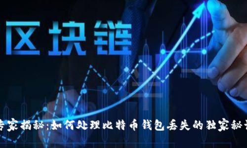专家揭秘：如何处理比特币钱包丢失的独家秘诀