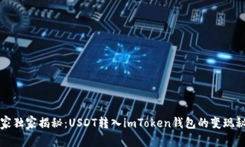 专家独家揭秘：USDT转入imToken钱包的变现秘诀