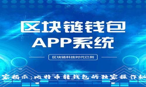 专家揭示：比特币转钱包的独家操作秘诀