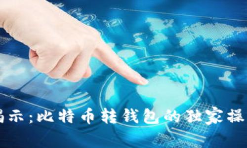 专家揭示：比特币转钱包的独家操作秘诀
