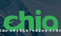 专家揭秘：比特币钱包销