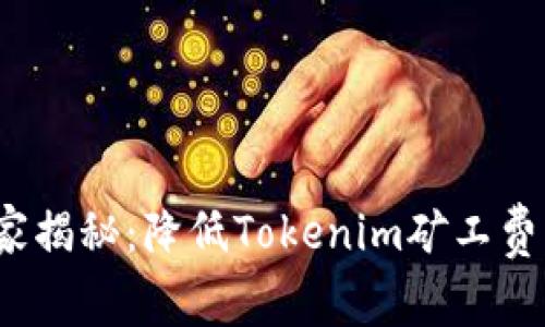 2023年独家揭秘：降低Tokenim矿工费的专家秘诀
