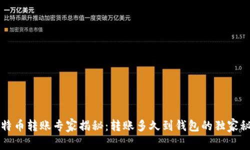 比特币转账专家揭秘：转账多久到钱包的独家秘诀