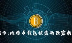 专家揭示：比特币钱包被
