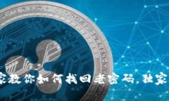 Tokenim专家教你如何找回老