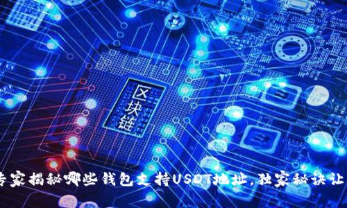 最全指南：专家揭秘哪些钱包支持USDT地址，独家秘诀让你安全存储