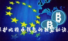专家揭秘：保护比特币钱