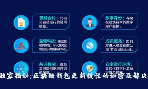 专家独家揭秘：区块链钱包更新缓慢的秘密及解决方案！