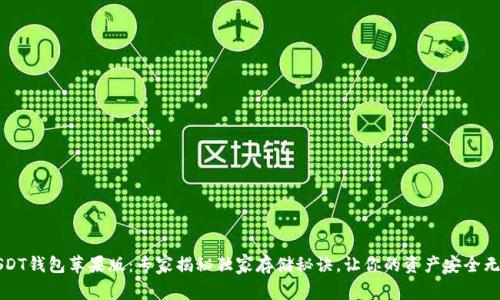 USDT钱包苹果版：专家揭秘独家存储秘诀，让你的资产安全无忧
