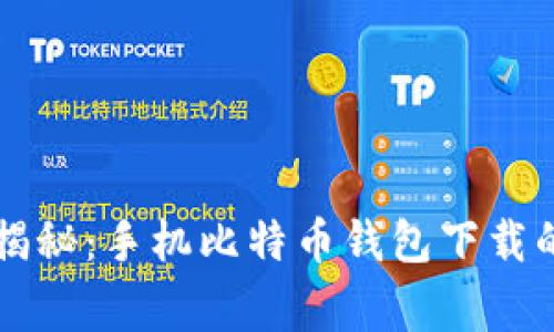 专家独家揭秘：手机比特币钱包下载的终极秘诀