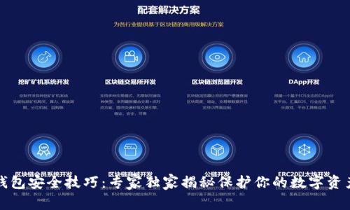 比特币钱包安全技巧：专家独家揭秘保护你的数字资产的秘诀