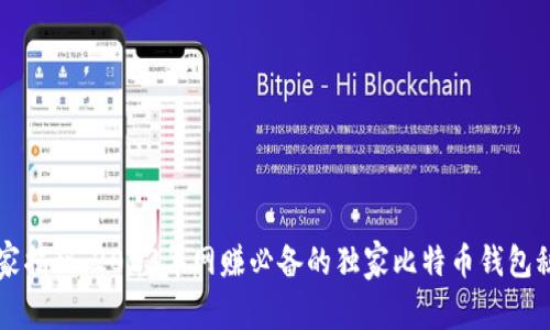 专家揭秘：2023年网赚必备的独家比特币钱包秘诀