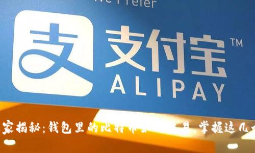 专家独家揭秘：钱包里的比特币如何交易，掌握这几个秘诀！