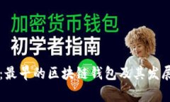 专家揭秘：最早的区块链