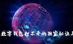 专家揭秘：数字钱包打不