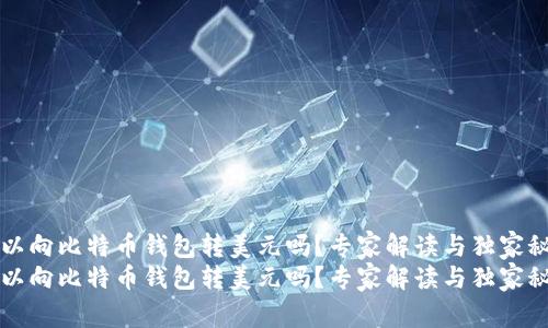 可以向比特币钱包转美元吗？专家解读与独家秘诀
可以向比特币钱包转美元吗？专家解读与独家秘诀
