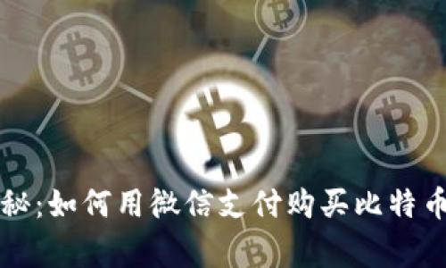 专家独家揭秘：如何用微信支付购买比特币钱包的秘密