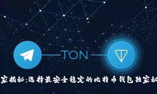 专家揭秘：选择最安全稳定的比特币钱包独家秘诀