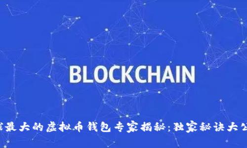 全球最大的虚拟币钱包专家揭秘：独家秘诀大公开！