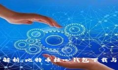 专家独家解析：比特币核