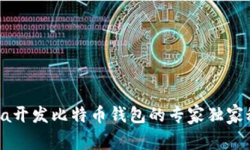 Java开发比特币钱包的专家独家秘诀