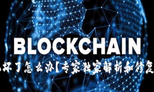手机坏了怎么办？专家独家解析和修复秘诀