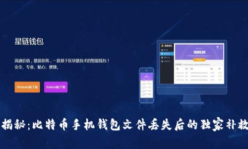 专家揭秘：比特币手机钱包文件丢失后的独家补救秘诀