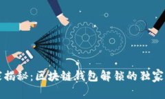 专家揭秘：区块链钱包解