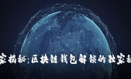 专家揭秘：区块链钱包解锁的独家秘诀