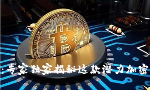 揭秘AUG币：专家独家揭秘这款潜力加密货币的秘诀