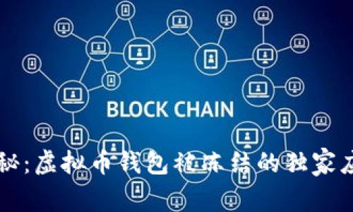 专家揭秘：虚拟币钱包被冻结的独家应对秘诀